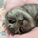 我想睡觉