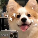 昀小夏