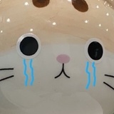 臭臭是只喵