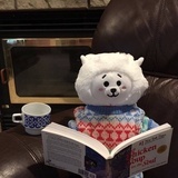 山不说话