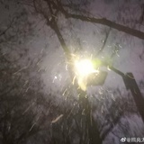 古惑仔