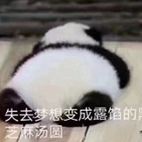 塞北小鸭
