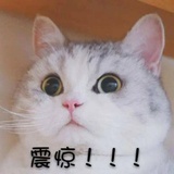 吃瓜群众