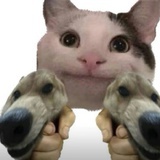 忠于自己