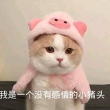 爱吃糖的小moon