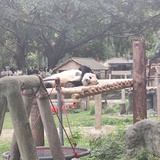 就这样