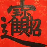 柴可飞