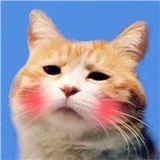 溪