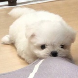 没有更早的通知