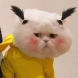 废话大王