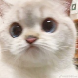 管⁢⁢理⁢员