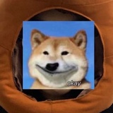 泥飞