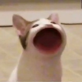 快乐宝子