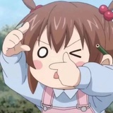 柚子的茶