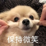 枫臻