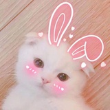 自律即高级