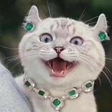 林暖暖