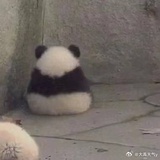 深海菠萝鳕鱼堡