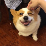 豆友203828333