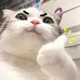 睡懒觉的Neo