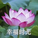 小陈