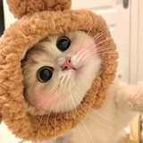 Yuzi酱