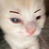 ⠀