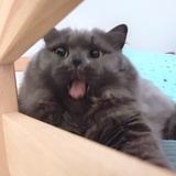 。