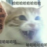 惹