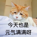 我太难了