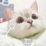 89757