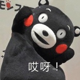 叮叮喵
