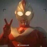 毛哥威武