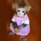 咱啥也不敢问