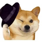 好奇小狗🐶