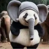 远东兵备副使