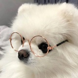 豆友204106722