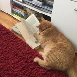 驰驰也也