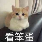 俩月成仙