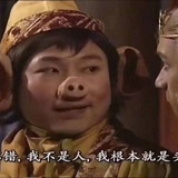 奕宝宝私人空间