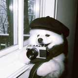 记忆捕手耶大师