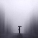 棠棠是一棵树