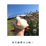 如鲸🐳 向海