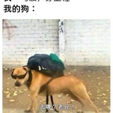 快乐本人
