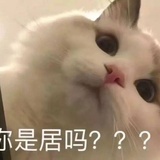 百香单响炮