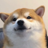 我相信我可以