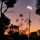 心上景