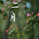 蝴蝶