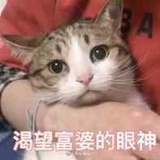 豆豆冰