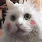 酸汤鱼